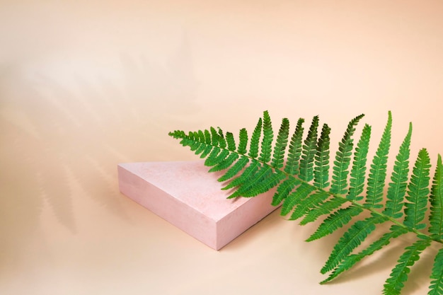 Triangular podium for displaying cosmetics and various products on a beige background with a fern with a close up