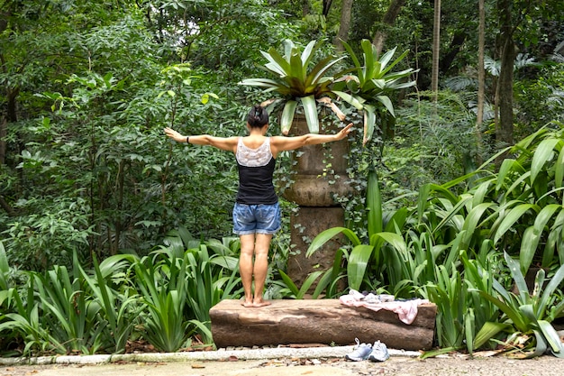 사진 트리아논 파크 (trianon park) 는 상파울로 (são paulo) 의 파울리스타 (avenida paulista) 에 있는 브라질의 주요 거리이다.