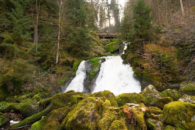 Photo triberg waterfall black forest highest fall germany gutach river plunges over seven major steps