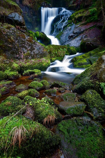 Triberg waterfalls