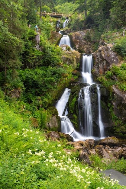 Triberg watervallen