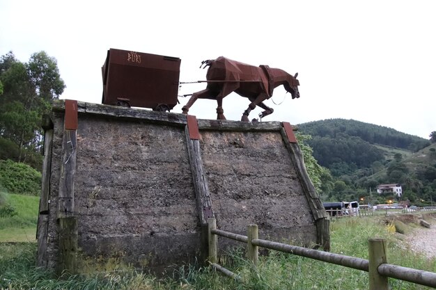 写真 カンタブリア州の dcido ビーチで動物の牽引に敬意を表します