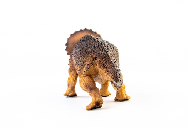 Triceratops, dinosaur isolated .