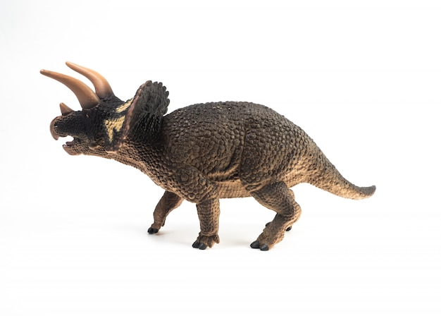 Triceratops dinosaurus op witte achtergrond