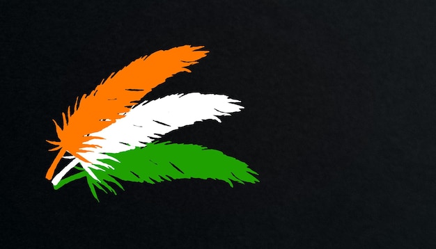 Tricolor feathers Army day independence day and gantantra diwas concept