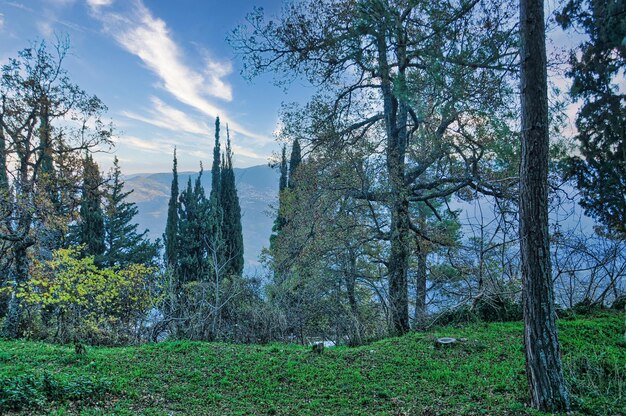 ギリシャ、ペロポネソス半島のTrikala korinthias