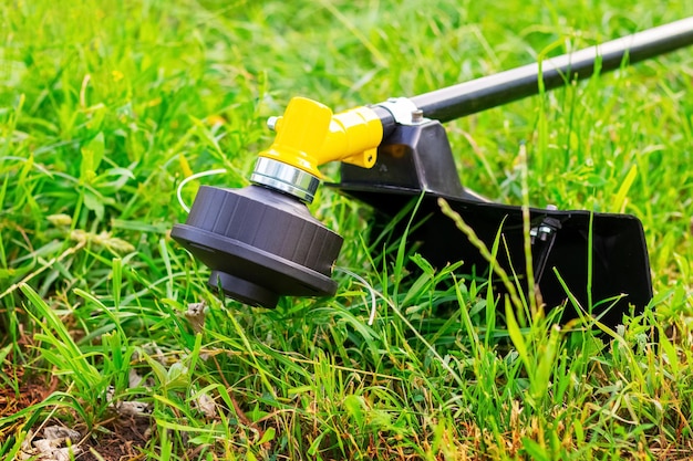 Trimmer for mowing the grass in the garden among the thick grass