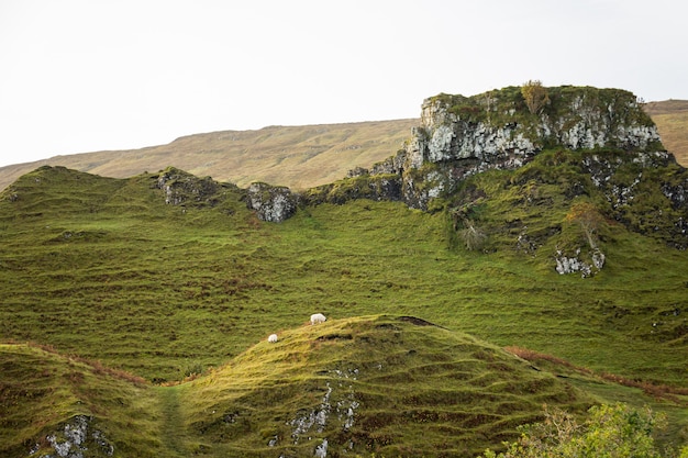 Photo trip to 
scotland