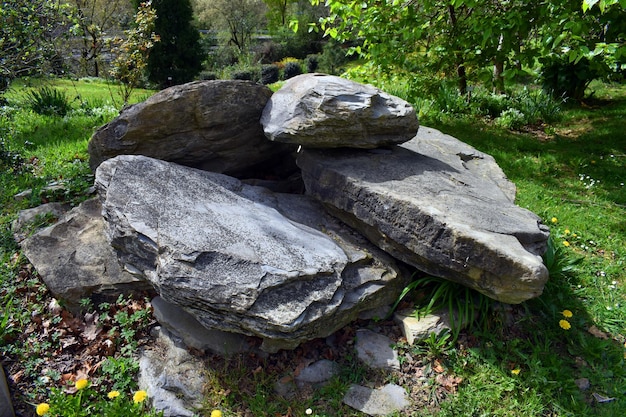Troebel kalksteen uit het Krijt Cenomanian 95 Mya