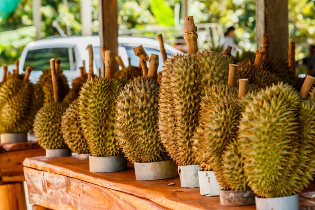 Tropic fruit durian on market table.