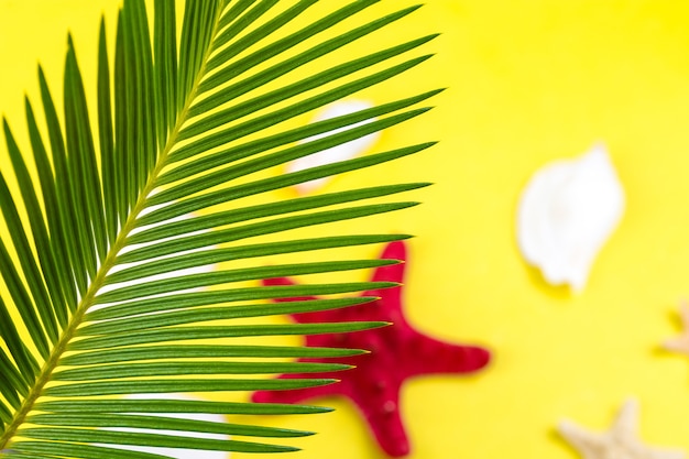 Тропический фон пальмовые ветви с размытыми морскими звездами на желтом фоне