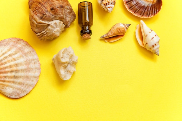 Tropical Background. Seashell and glass bottle on yellow colourful trendy modern fashion background. Vacation travel summer weekend sea adventure trip concept.