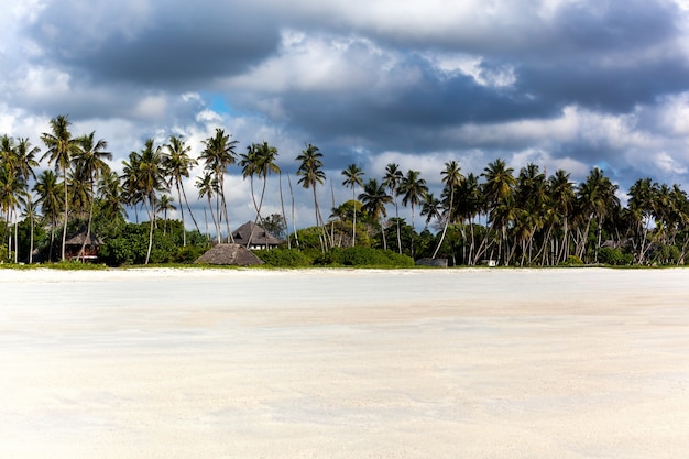 Tropical beach after low tide. Texture of sand on the beach, Mombasa. Sand waves on the beach.