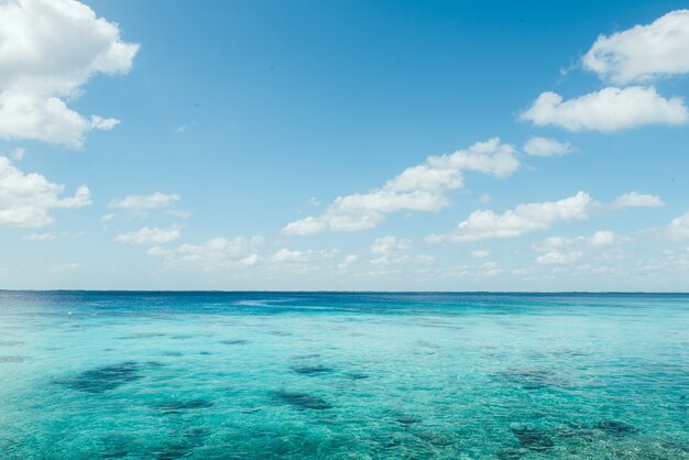 Tropical beach amazing view Clear white sand beach in summer day Waves of blue sea break on sunny beach Cuba palms beach landscape