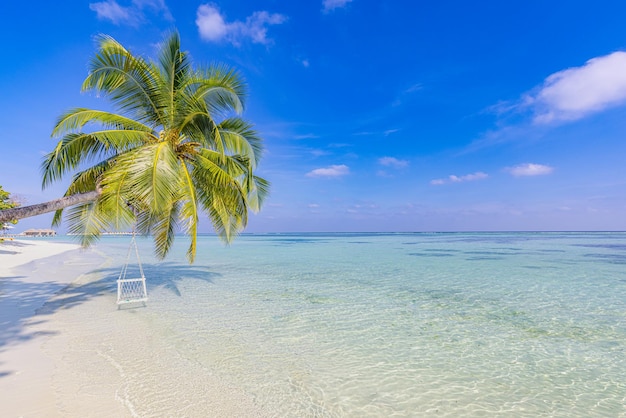Тропический фон пляжа. Летний остров над лагуной, пляжные качели висят на пальмовом морском заливе