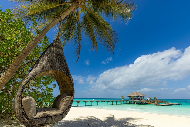 Tropical beach background, summer island landscape. Swing on palm tree hanging, sand romantic sea