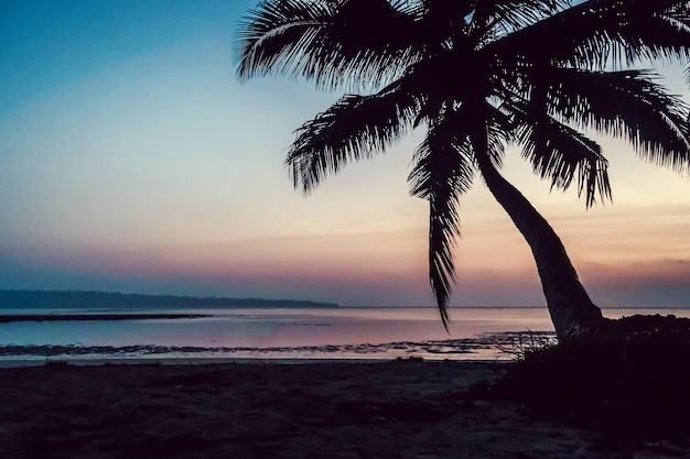 Tropical beach background at sunset sunrise