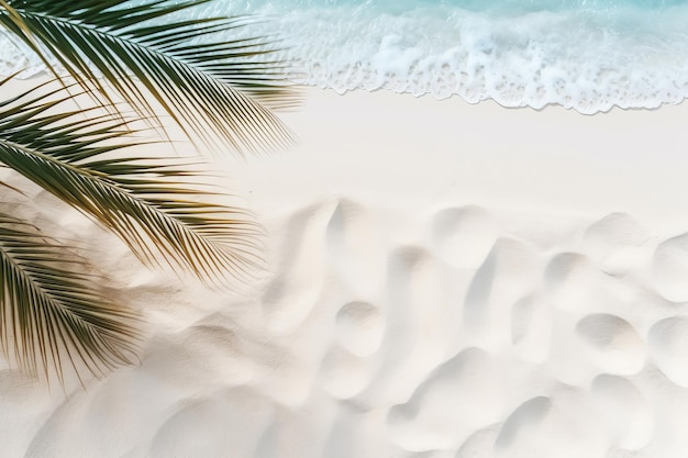 Tropical beach background with white sand palm tree shadowssummer holiday background Travel