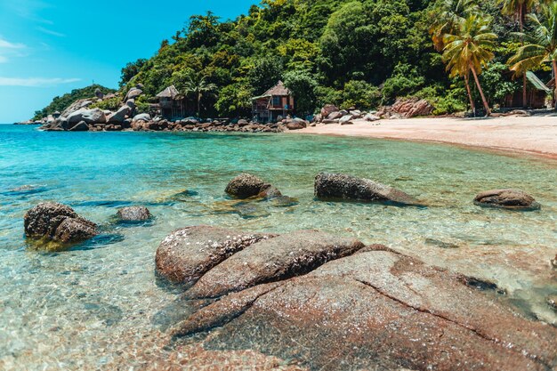 夏の熱帯のビーチと青い海