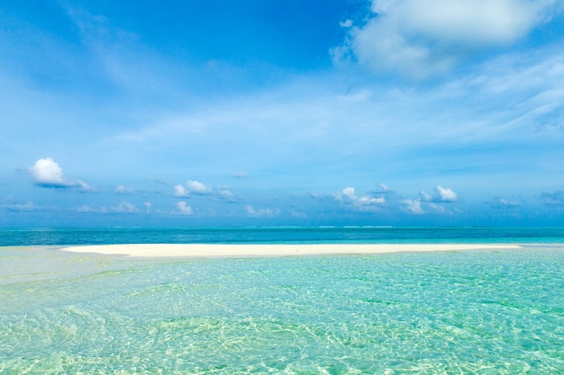 Mar dei caraibi spiaggia tropicale. paesaggio marino