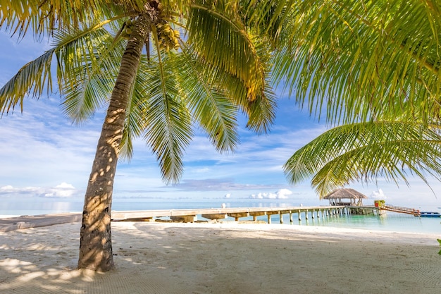 Tropical beach coast, Maldives. Bridge pathway into tranquil paradise island. Palm trees, sea bay