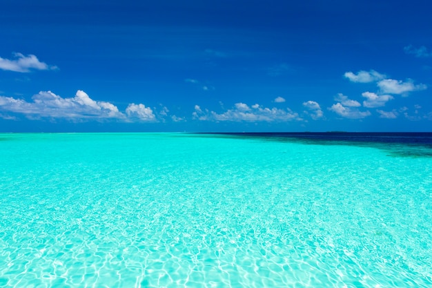 Фото Тропический пляж на мальдивах