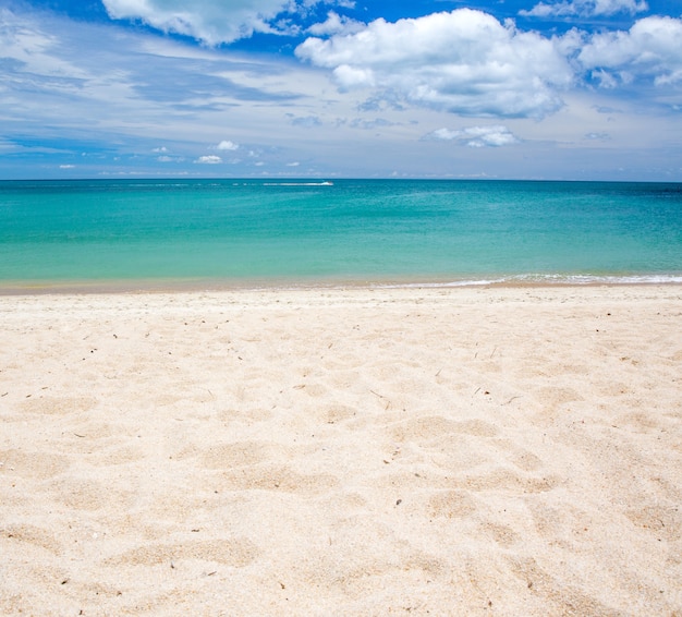 Foto paesaggio tropicale della spiaggia