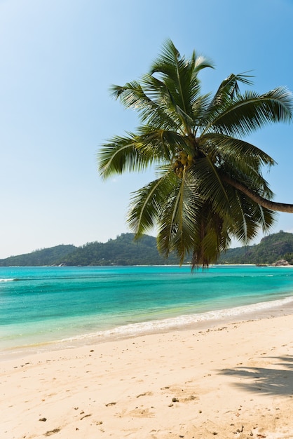 Tropical beach at Mahe island Seychelles. Vertical shot