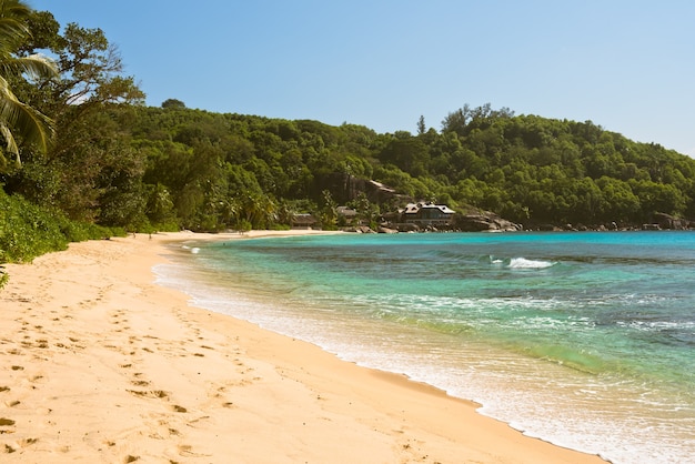 Tropical beach at Mahe island Seychelles