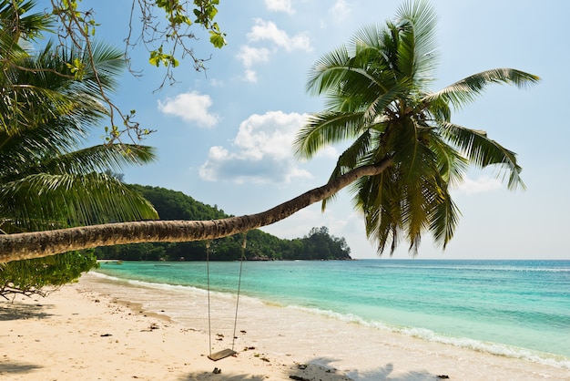 Tropical beach at Mahe island Seychelles.