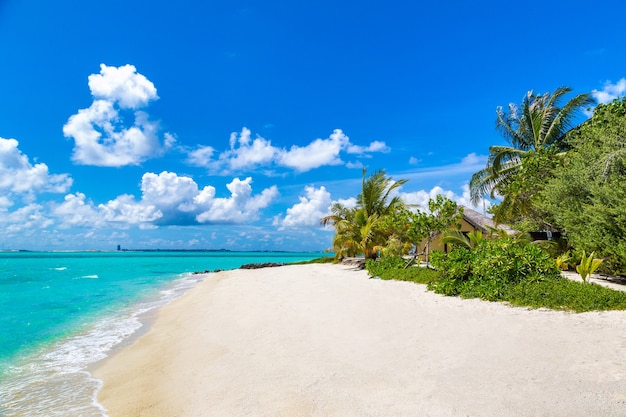 Tropical beach in the Maldives island