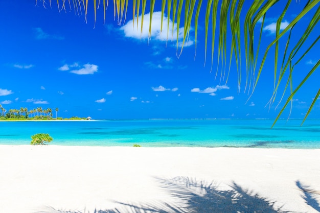 Foto spiaggia tropicale alle maldive con poche palme e laguna blu