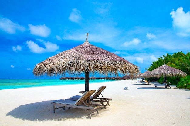 Tropical beach in Maldives with few palm trees and blue lagoon