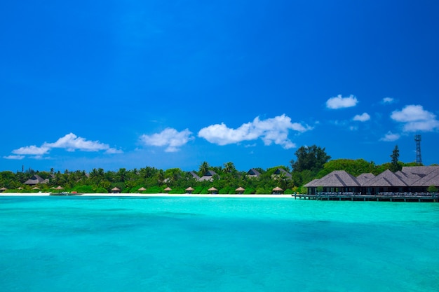 Tropical beach in maldives with few palm trees and blue lagoon