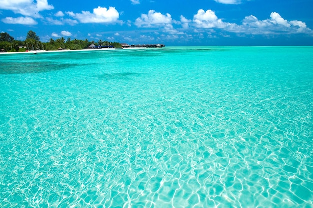 Tropical beach in Maldives with few palm trees and blue lagoon