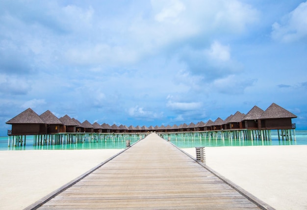 Tropical beach in Maldives with few palm trees and blue lagoon