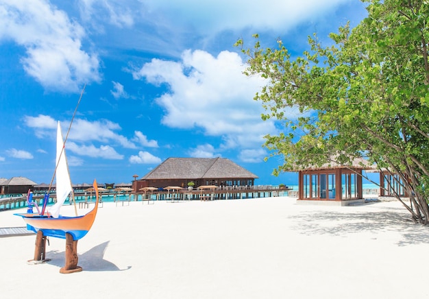 Тропический пляж на Мальдивах с несколькими пальмами и голубой лагуной