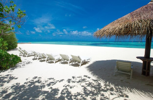 Tropical beach in maldives with few palm trees and blue lagoon