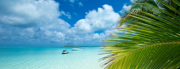 Tropical beach in maldives with few palm trees and blue lagoon