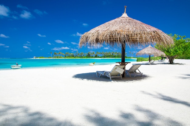 Spiaggia tropicale alle maldive con poche palme e laguna blu