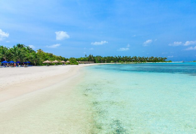 Tropical beach in Maldives with few palm trees and blue lagoonxAxA