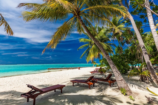 Tropical beach in Maldives with palm trees and vibrant inviting lagoon