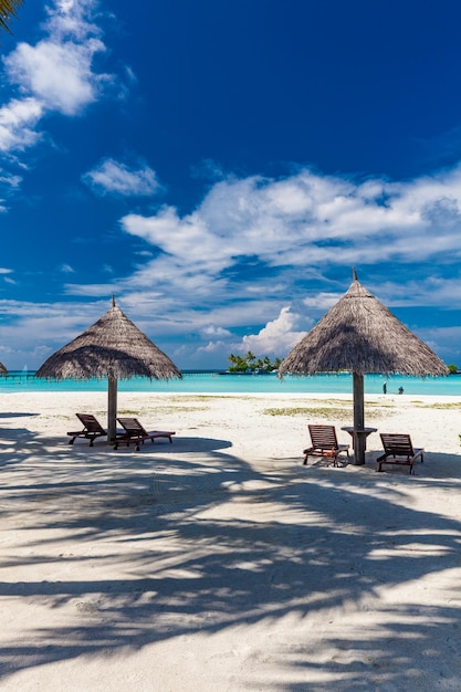 Tropical beach in Maldives with palm trees and vibrant lagoon