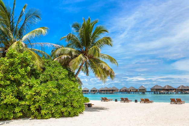 Tropical beach in the Maldives