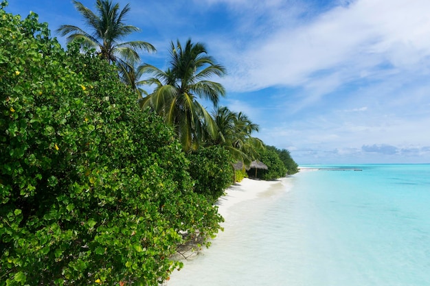 Tropical beach in the Maldives