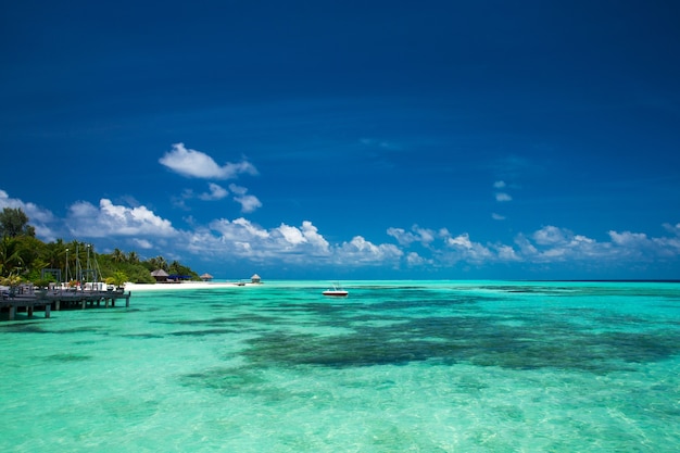 Tropical beach in Maldives