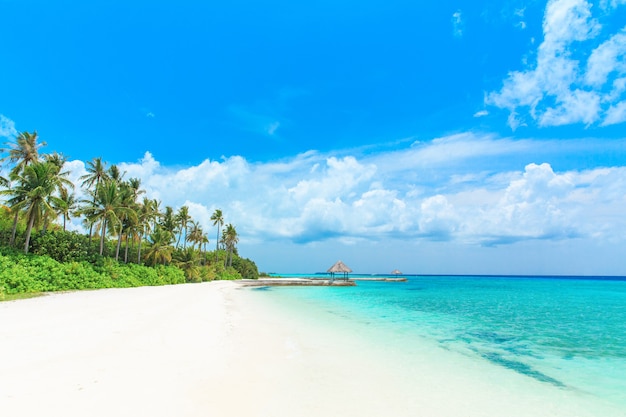 Тропический пляж на Мальдивах