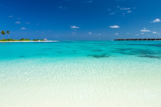 Tropical beach in Maldives