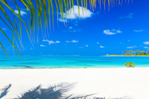 Spiaggia tropicale alle maldive