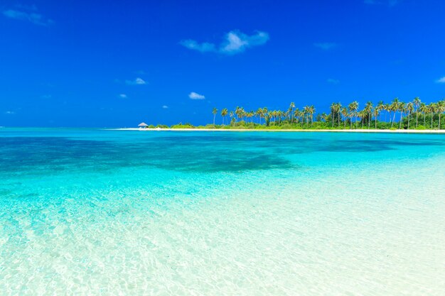 Tropical beach in Maldives